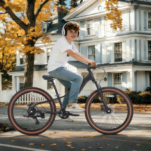 Spatial mt24fs 24 - 2.0, 24"citybike